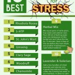 Top Natural Remedies for Stress Relief
